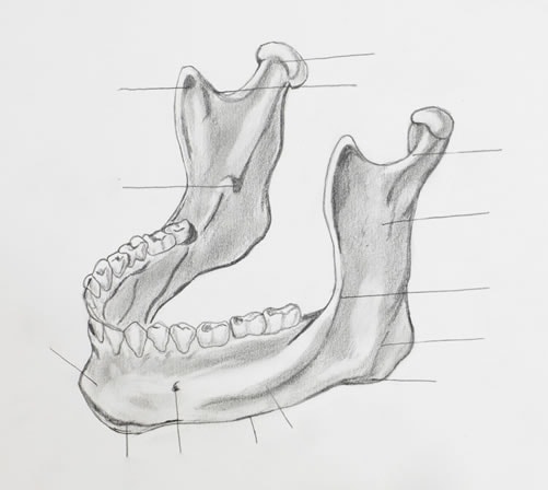 Effects on Jaw from Bruxism